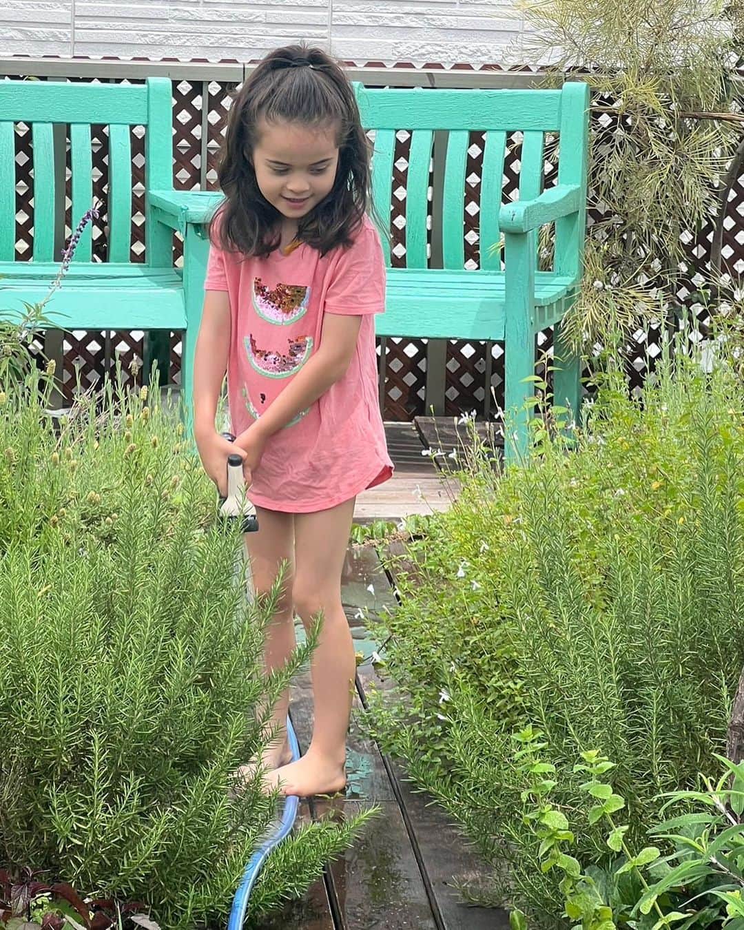 キャシー中島さんのインスタグラム写真 - (キャシー中島Instagram)「*  初夏の天気ですね♪ ハルコとジィジが屋上のお庭に水撒きをする季節です。 ショートパンツ姿のハルコ、しっかり者のお姉さんです。 水やりよろしくね❣️  午前中はリモートで打ち合わせです。  午後は横浜霧笛楼でレッスンです❣️  今日の靴は夏仕様のヴァラ。 水にも強くて履きやすいです。  霧笛楼クラスのチャリティーバッグはこちら！ ステンドグラスキルトのサマートートです。 すごくオシャレこれは初日にsold outになりそうね‼️  チームキャシーが作っているキルトを ちょっとだけお見せします。 マリーナコンパスとアップリケのビッグキルトです。 これからたくさんアップリケがのります。 いつ出来上がるか楽しみね❣️  夕方に幕張に入りました。 いつものホテルにチェックイン。  明日は10時からQVCの生放送に出ます。 ファッションの新作をご紹介します。 セットアップとフーディーがオススメよ❣️❣️❣️」6月21日 21時32分 - official_kathynakajima