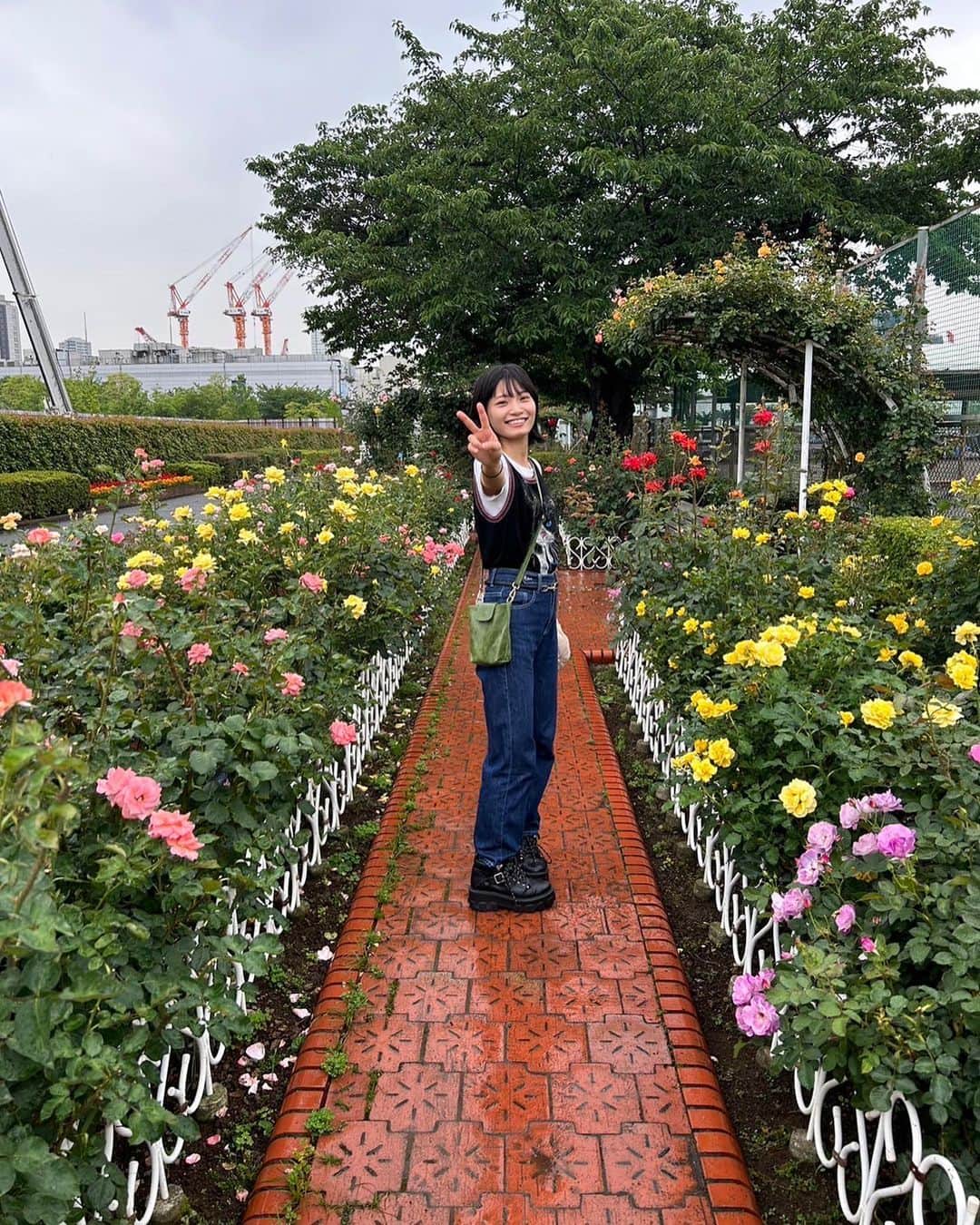 日高里緒さんのインスタグラム写真 - (日高里緒Instagram)「散歩してたらお花道あった💐」6月21日 21時34分 - rio_hidaka