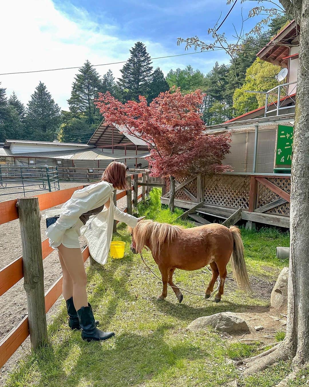 Meeさんのインスタグラム写真 - (MeeInstagram)「ゴールデンウィークのやついま載せる🙄 わすれち🙄🙄  でもでも牧場だいすこ🫶🏻 天気もよくて牛のにおいがダイレクトにあたっくしてきたよ🤣  そんなところがだいすき〜🩷  ぜったい毎年くるばしょ🤫  #牧場コーデ #ウエスタンブーツ #夏服コーデ #牧場 #放牧」6月21日 21時39分 - wagamama_mee