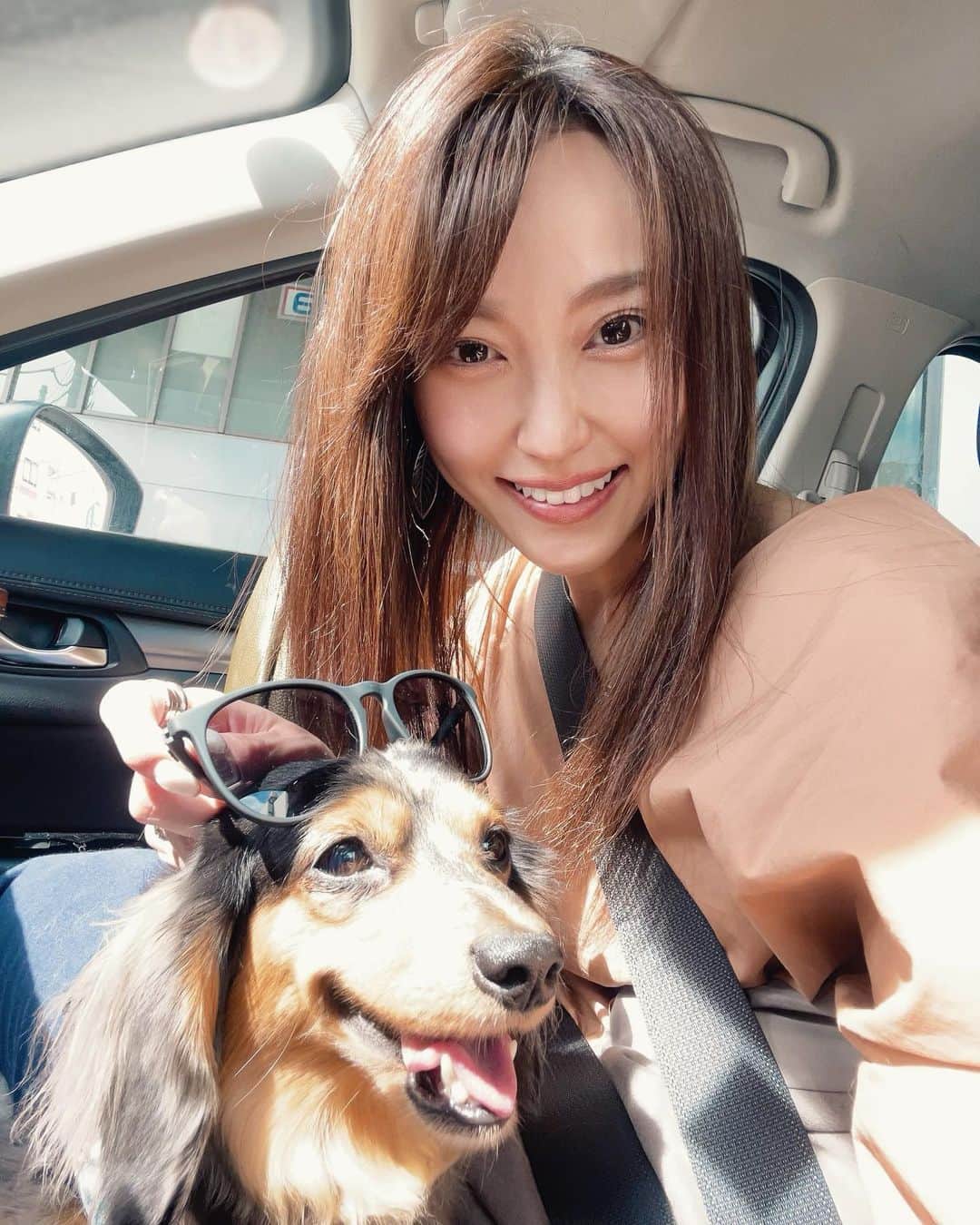 中川祐子さんのインスタグラム写真 - (中川祐子Instagram)「今日6月21日は夏至☀️ いよいよ本格的な夏の到来です！ 晴れると太陽の光がまぶしい〜😆✨ . 車に乗ると必ず私の膝の上に座る 愛犬のシエルもさすがに日射しが眩しくて 目の大きさが半分になってる〜笑 (それでも私の膝から動こうとはしないのが可愛ゆいのだ😍) . あまりに可愛いので 私のサングラスをかけてあげたら 意外とまんざらでもない様子😎❤️ ワンちゃん用のサングラス買ってあげようかしらw . あ、隣のおぼっちゃま(ウル)も暑そうだー🐶 ウルはクーラーがガンガンあたる ど真ん中が定位置(笑) . これからさらに暑さが増していくので 皆さまもどうか熱中症や紫外線には 気をつけて下さいね☀️ . #夏至 #夏至2023 #太陽眩しい #まぶしい顔 #まぶしい顔の犬  #サングラス犬  #サングラス必須 #愛犬とドライブ #カニンヘンダックス #ポメラニアン #気象予報士 #熱中症に気をつけて  #紫外線に負けない  #スーパー晴れ女 #dangshades  #dang #happylife #enjoydriving  #sunshinegirl」6月21日 21時51分 - nakagawa.yuko
