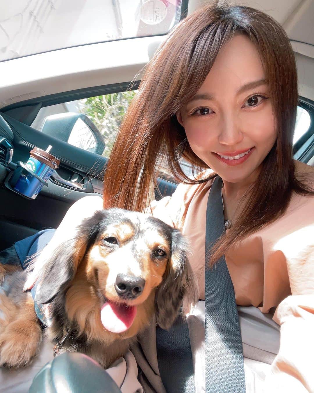 中川祐子さんのインスタグラム写真 - (中川祐子Instagram)「今日6月21日は夏至☀️ いよいよ本格的な夏の到来です！ 晴れると太陽の光がまぶしい〜😆✨ . 車に乗ると必ず私の膝の上に座る 愛犬のシエルもさすがに日射しが眩しくて 目の大きさが半分になってる〜笑 (それでも私の膝から動こうとはしないのが可愛ゆいのだ😍) . あまりに可愛いので 私のサングラスをかけてあげたら 意外とまんざらでもない様子😎❤️ ワンちゃん用のサングラス買ってあげようかしらw . あ、隣のおぼっちゃま(ウル)も暑そうだー🐶 ウルはクーラーがガンガンあたる ど真ん中が定位置(笑) . これからさらに暑さが増していくので 皆さまもどうか熱中症や紫外線には 気をつけて下さいね☀️ . #夏至 #夏至2023 #太陽眩しい #まぶしい顔 #まぶしい顔の犬  #サングラス犬  #サングラス必須 #愛犬とドライブ #カニンヘンダックス #ポメラニアン #気象予報士 #熱中症に気をつけて  #紫外線に負けない  #スーパー晴れ女 #dangshades  #dang #happylife #enjoydriving  #sunshinegirl」6月21日 21時51分 - nakagawa.yuko