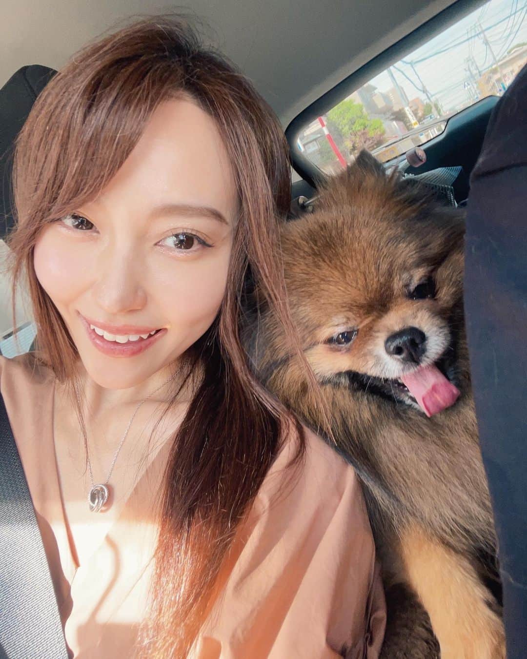 中川祐子さんのインスタグラム写真 - (中川祐子Instagram)「今日6月21日は夏至☀️ いよいよ本格的な夏の到来です！ 晴れると太陽の光がまぶしい〜😆✨ . 車に乗ると必ず私の膝の上に座る 愛犬のシエルもさすがに日射しが眩しくて 目の大きさが半分になってる〜笑 (それでも私の膝から動こうとはしないのが可愛ゆいのだ😍) . あまりに可愛いので 私のサングラスをかけてあげたら 意外とまんざらでもない様子😎❤️ ワンちゃん用のサングラス買ってあげようかしらw . あ、隣のおぼっちゃま(ウル)も暑そうだー🐶 ウルはクーラーがガンガンあたる ど真ん中が定位置(笑) . これからさらに暑さが増していくので 皆さまもどうか熱中症や紫外線には 気をつけて下さいね☀️ . #夏至 #夏至2023 #太陽眩しい #まぶしい顔 #まぶしい顔の犬  #サングラス犬  #サングラス必須 #愛犬とドライブ #カニンヘンダックス #ポメラニアン #気象予報士 #熱中症に気をつけて  #紫外線に負けない  #スーパー晴れ女 #dangshades  #dang #happylife #enjoydriving  #sunshinegirl」6月21日 21時51分 - nakagawa.yuko