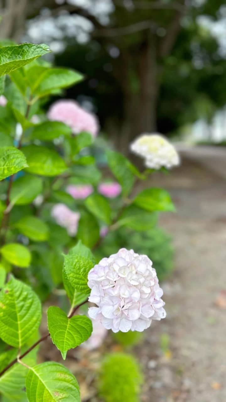 中山千桂子のインスタグラム