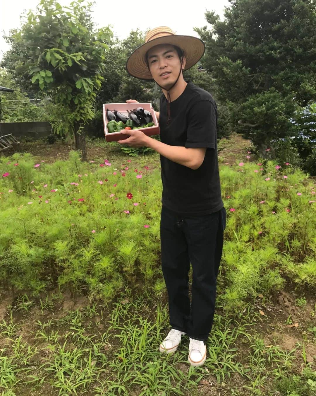 松本拓郎（マスオチョップ）さんのインスタグラム写真 - (松本拓郎（マスオチョップ）Instagram)「収穫。」6月21日 22時13分 - masuochop