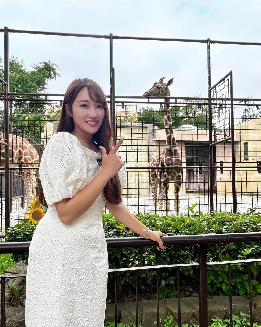 片原恵麻さんのインスタグラム写真 - (片原恵麻Instagram)「王子動物園でロケ🦒🦘🐘🐧  お魚も大好きだけど 動物も大好き🤦‍♀️🩵 癒されまくりでした🤤  神戸出身で、幼い頃はよく王子動物園に行っていたので久々に行けたのもうれしかったです😚」6月21日 22時40分 - emma_katahara