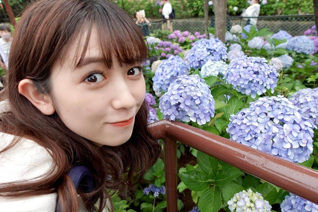 小泉遥香さんのインスタグラム写真 - (小泉遥香Instagram)「￤𝓱𝔂𝓭𝓻𝓪𝓷𝓰𝓮𝓪…💠🌿‬ ܸ  途中から雨が降ってきちゃったけど☔️💦  とっても綺麗でした🥰  #紫陽花 #あじさい #デート #お花見 (？) #flower #date」6月21日 23時18分 - haruka_koizumi_official