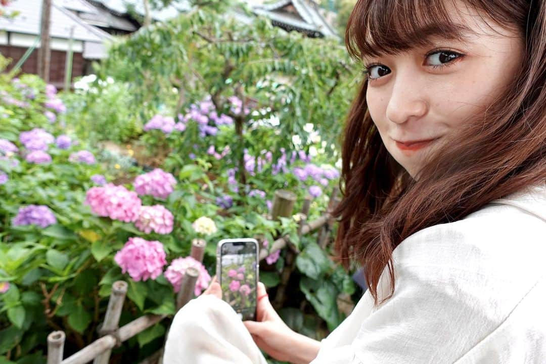 小泉遥香さんのインスタグラム写真 - (小泉遥香Instagram)「￤𝓱𝔂𝓭𝓻𝓪𝓷𝓰𝓮𝓪…💠🌿‬ ܸ  途中から雨が降ってきちゃったけど☔️💦  とっても綺麗でした🥰  #紫陽花 #あじさい #デート #お花見 (？) #flower #date」6月21日 23時18分 - haruka_koizumi_official