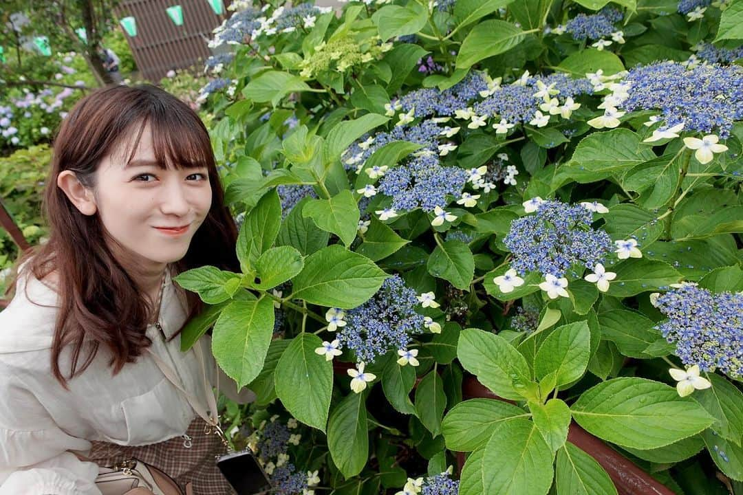 小泉遥香さんのインスタグラム写真 - (小泉遥香Instagram)「￤𝓱𝔂𝓭𝓻𝓪𝓷𝓰𝓮𝓪…💠🌿‬ ܸ  途中から雨が降ってきちゃったけど☔️💦  とっても綺麗でした🥰  #紫陽花 #あじさい #デート #お花見 (？) #flower #date」6月21日 23時18分 - haruka_koizumi_official