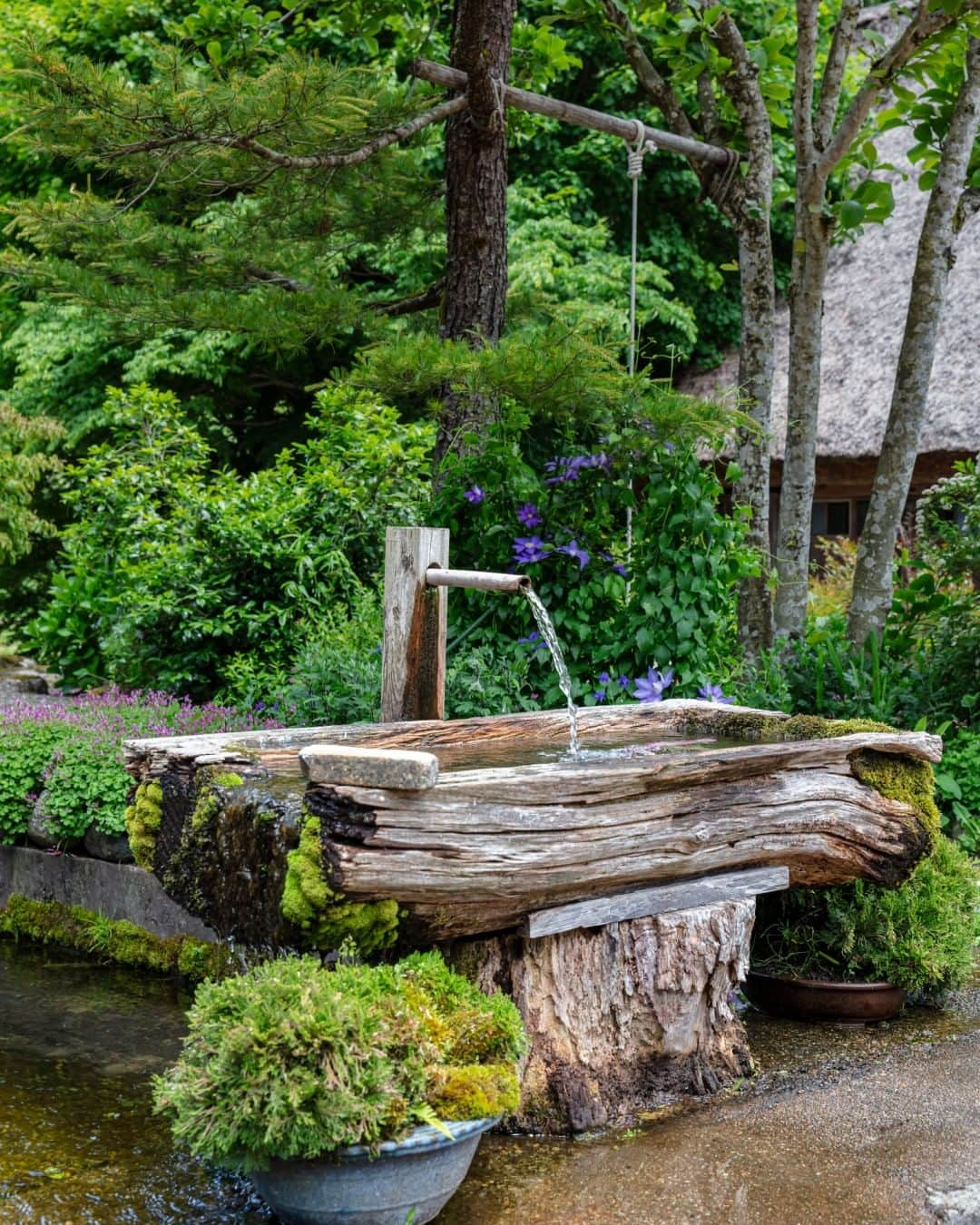 Airbnbさんのインスタグラム写真 - (AirbnbInstagram)「For the first time in decades, the Nakashima family — fifth generation locals — are hosting their centuries-old, thatched-roof house in Suganuma village on Airbnb.   While this picturesque village in Japan is typically only open to residents once the sun goes down, travelers will now have the opportunity to experience the history and heritage of the area like a local. Booking opens June 29th, 8PM ET / June 30th 9AM JST at the link in our bio.」6月21日 23時20分 - airbnb