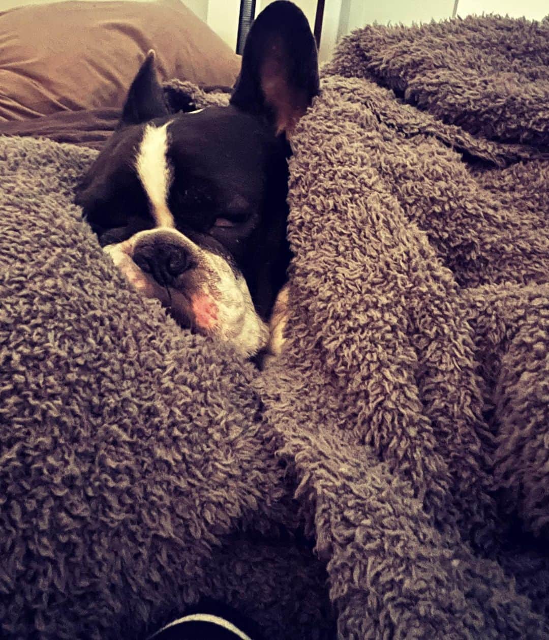 アムのインスタグラム：「💤♡」