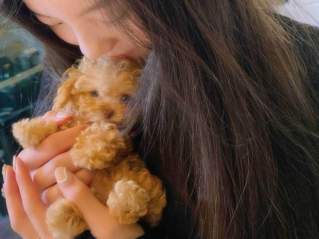 本田真凜さんのインスタグラム写真 - (本田真凜Instagram)「マーブル🐶🤍」6月21日 23時40分 - marin_honda