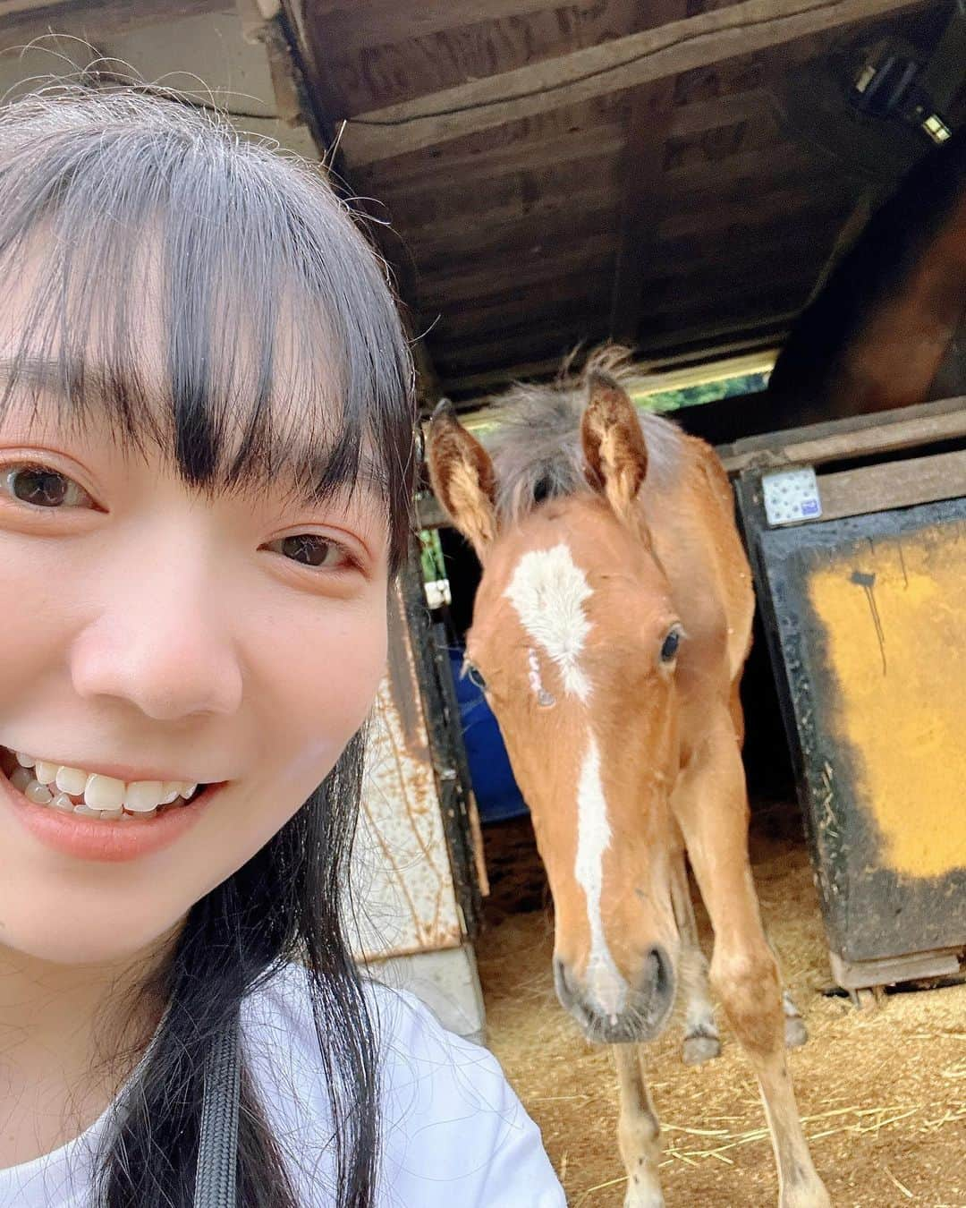 ゆきのしんさんのインスタグラム写真 - (ゆきのしんInstagram)「鹿児島2日目は徳重育成牧場さんへ行かせていただきました🐕 近くに寄ってきてくれてツーショットいただきました🥹🫶🐴 #鹿児島  #九州産馬  #徳重牧場  #仔馬  #キングプライド産駒」6月21日 23時59分 - yukino__shin