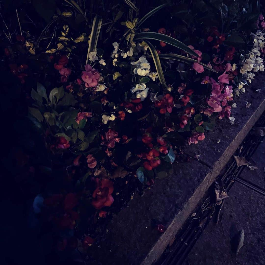 村田沙耶香さんのインスタグラム写真 - (村田沙耶香Instagram)「打ち合わせの後、夜の喫茶店に行きました。」6月22日 0時24分 - sayaka_murata_