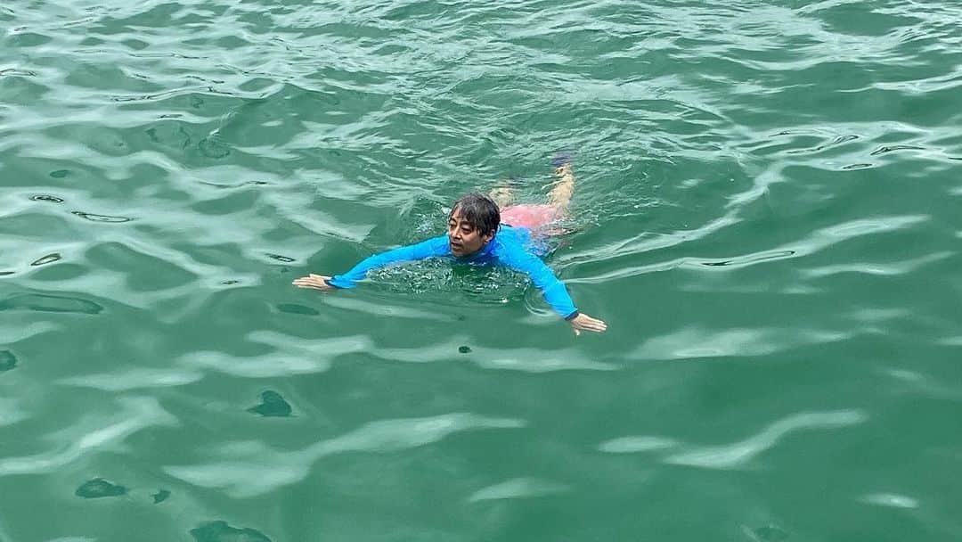 タテタカコさんのインスタグラム写真 - (タテタカコInstagram)「すいすいおよぐみーちゅーさん凄いです。 漁港で泳ぐ皆さん、盛り上がっていました🐬」6月22日 1時14分 - tatetakako