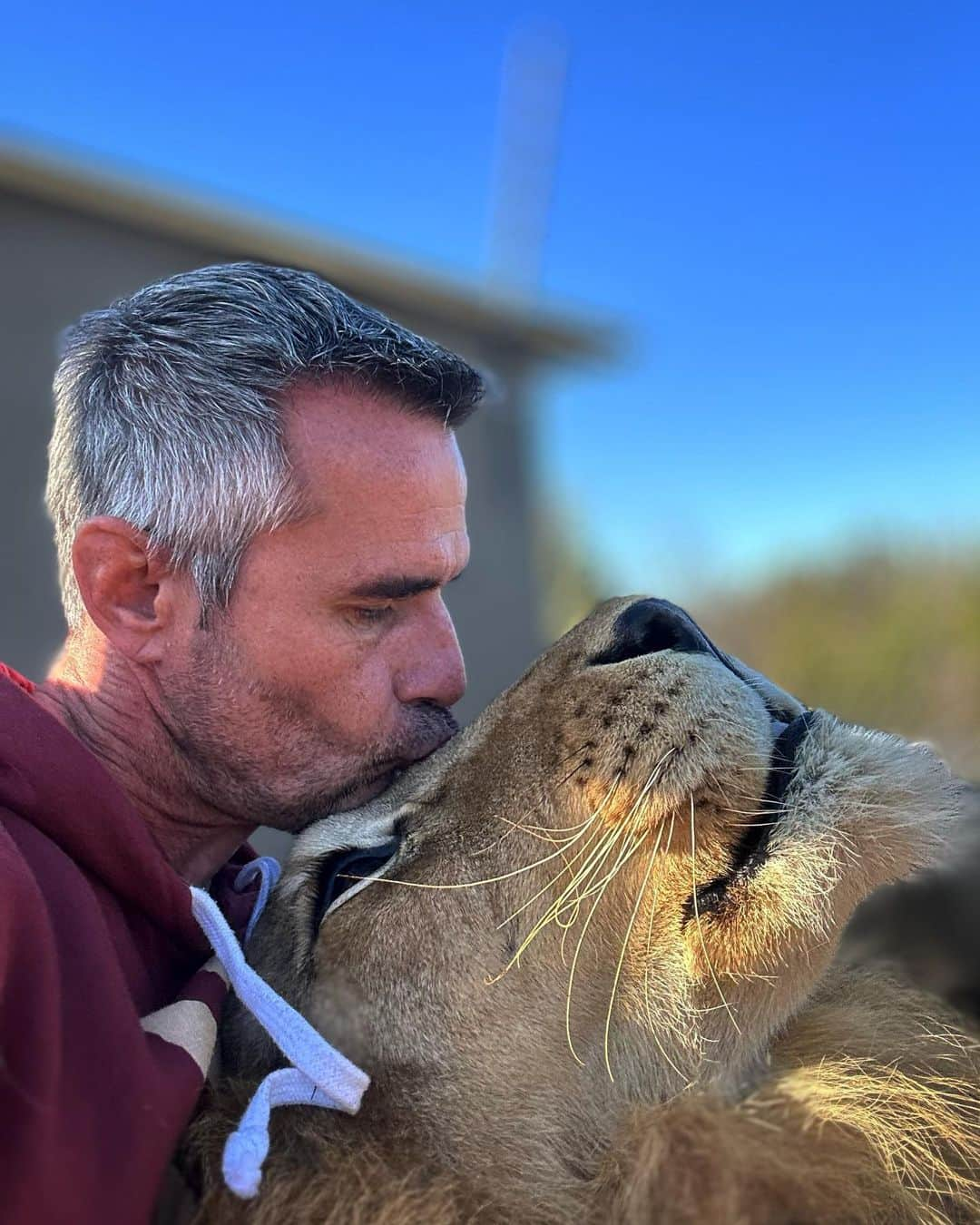 Kevin Richardson LionWhisperer のインスタグラム