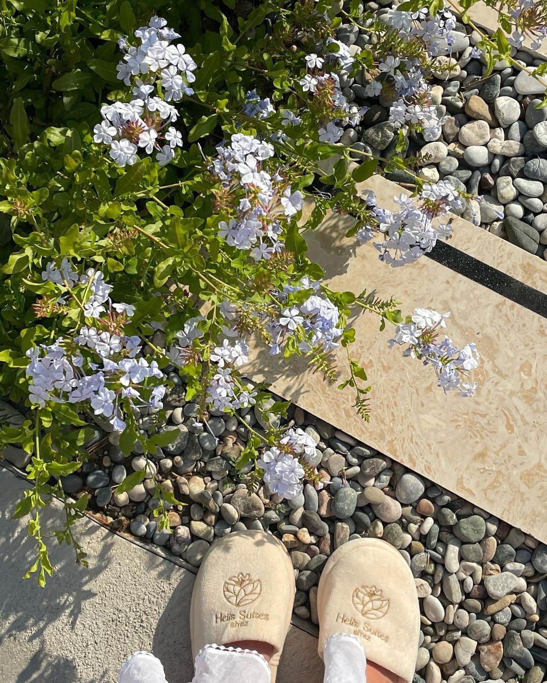 ヴィクトリア・ツラノーヴァさんのインスタグラム写真 - (ヴィクトリア・ツラノーヴァInstagram)「@helissuites ...