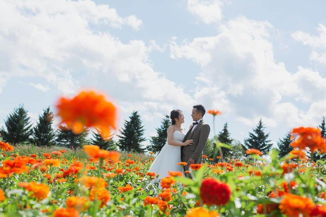 STUDIO SOLAのインスタグラム：「⁡ 【北海道の大自然で最高のフォトウェディング🌸】  8月9月は様々なお花が見頃を迎えるので大人気✨✨ 何種類もある花畑でのロケーションは圧巻です♫  8月は残りわずかです💨 9月撮影は絶賛受付中😀  毎年大好評の 北海道スタジオSOLAが 2023年は6月〜10月で期間限定OPEN☀️  ⁡ 詳しくは最寄りの店舗までお電話またはメールにて お気軽にお問い合わせ下さい✨ ⁡ お問い合わせはお早めに♫ ⁡ ⁡ デコルテ公式アカウント ▷▷ @decollte_weddingphoto ⁡ スタジオアクアSOLA ▷▷ @studiosola_hokkaido  ⁡ ⁡ #d_weddingphoto #デコルテフォト #スタジオソラ #美瑛前撮り　 #スタジオSOLA #北海道ウェディング　 #撮る結婚式 #ウェディング #ウェディングフォト #フォトウェディング #道産子花嫁　 #札幌花嫁 #プレ花嫁 #卒花嫁　 #関東花嫁 #リゾートウェディングフォト #花嫁準備 #前撮り #北海道ウェディングフォト  #結婚式 #結婚式準備  #ヘアメイク #洋装前撮り #和装前撮り #ドレス試着 #北海道前撮り  #ウェディングフェア #プレ花嫁さんと繋がりたい #全国のプレ花嫁さんと繋がりたい #日本中のプレ花嫁さんと繋がりたい」