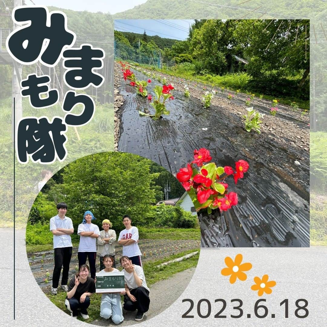 共愛COCOのインスタグラム：「6月18日（日）みまもり隊  今回のみまもり隊では、花植えと戸別訪問を行いました🌷私は初めてのみまもり隊参加で緊張していましたが、明男さんを初めとても温かい住民の方々や優しいcocoメンバーのお陰で楽しく活動することができました！750本の花の苗を午前中に植えなくてはならなかったのですが、７人で協力して植え終わることが出来ました。戸別訪問では余ったお花を住民の方々にお裾分けしに行きました。みなさん喜んでくださったので嬉しかったです。これからも活動にたくさん参加して、みなかみへの理解を深めながら住民の方々の力になれるように頑張りたいです✊🏻！ 英語コース3年　高須彩嘉  HP:https://www.kyoaicoco.com/ #共愛COCO#共愛学園前橋国際大学#kyoai#みなかみ#水上#minakam#花植え #平出集落」