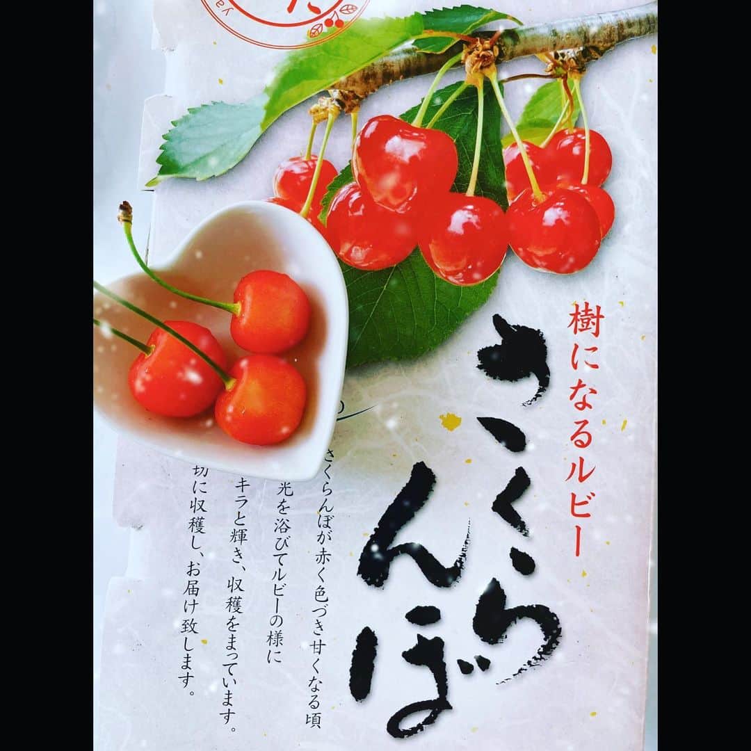清原怜奈のインスタグラム：「4月24日に突然天国にいっちゃった お母さんの弟さんから 昨日さくらんぼ🍒届きました🍒  人想いで、いつも笑顔で、優しくて、真面目で、信頼されてて、 いつも可愛がってくれた  毎年、親戚や周りの皆様に 佐藤錦のさくらんぼ🍒送ってくれてた。  おじさんからの最後の贈り物🎁大切に頂きます😆✨  生きれている事に感謝して笑顔で頑張ります。 おじさん 本当にありがとう。  #佐藤錦  #さくらんぼ  #美味しいよ  #沢山ありがとう #お母さんの1番の弟であり親友 #お母さん大事にします」