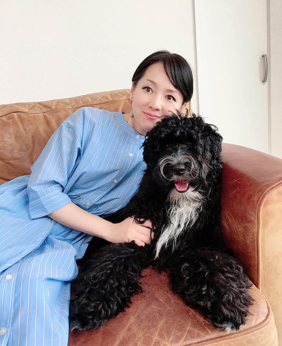 近藤淳子さんのインスタグラム写真 - (近藤淳子Instagram)「おはようございます✨シュナプーBow、無事に9ヶ月になりました。  Bowが暴れて皮ソファーはボロボロ…謎の毛玉が大量発生したり、拗ねてベンチにへばりついて動かなくなったり。日々、未知のことがたくさん起こり、まだまだ右往左往しています。  でも、無邪気な愛情を信じられないくらいたっぷり与えてくれて、くまさんみたいに逞しく成長し、愛おしくて仕方がない存在です。  抱っこすると、なんだか抱っこされている感覚もあります。獣医さんよると、もうちょっと大きくなるかもとのこと。  これから初めての夏をどう乗り越えていくのか不安もありますが、環境を整えて成長を見守ります☺️   #シュナプー  #仔犬のいる暮らし  #もふもふ  #初めての夏  #ソファーどうしようかな」6月22日 6時26分 - kondo_junko_