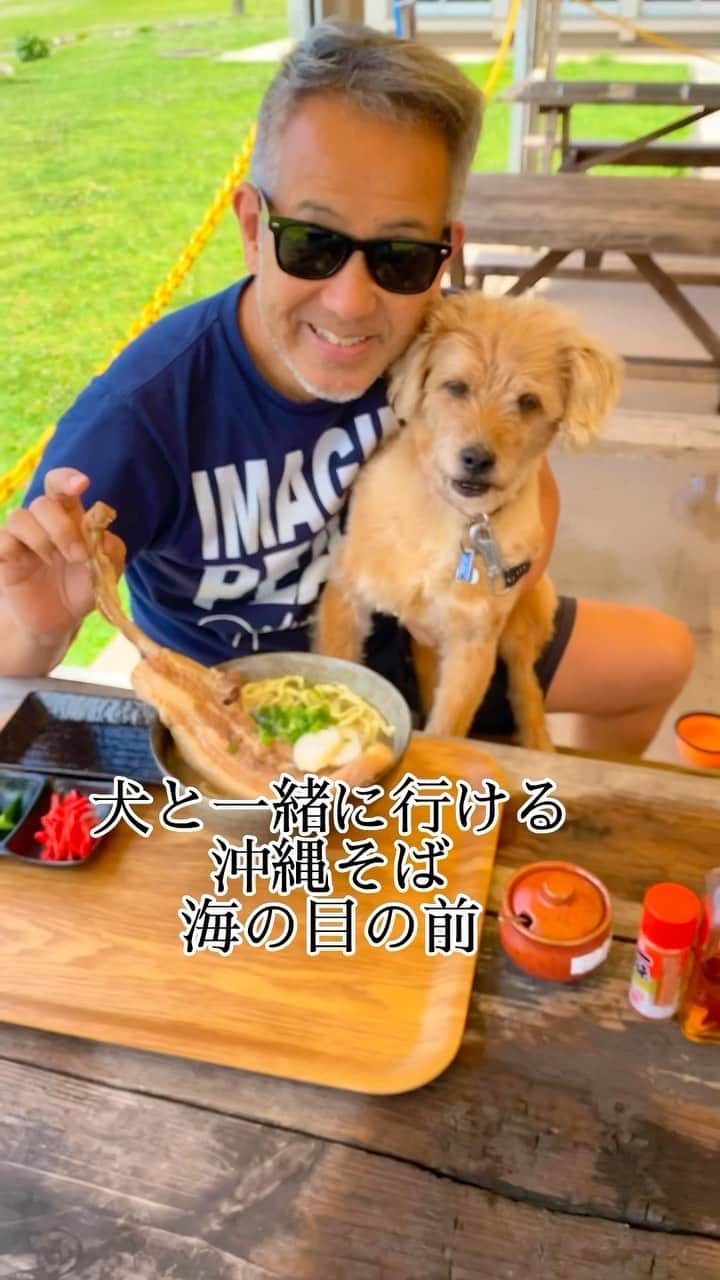 宮本亜門のインスタグラム：「ぼくは🦴ほね🦴ください  #犬と行けるお店 #テラスのみワンコok #沖縄そば　#読谷村　#沖縄ポークビレッジ #この特大ソーキは限定売り切れごめん　#保護犬　#ビート　#宮本亞門　#犬のいる暮らし #いぬのきもち」
