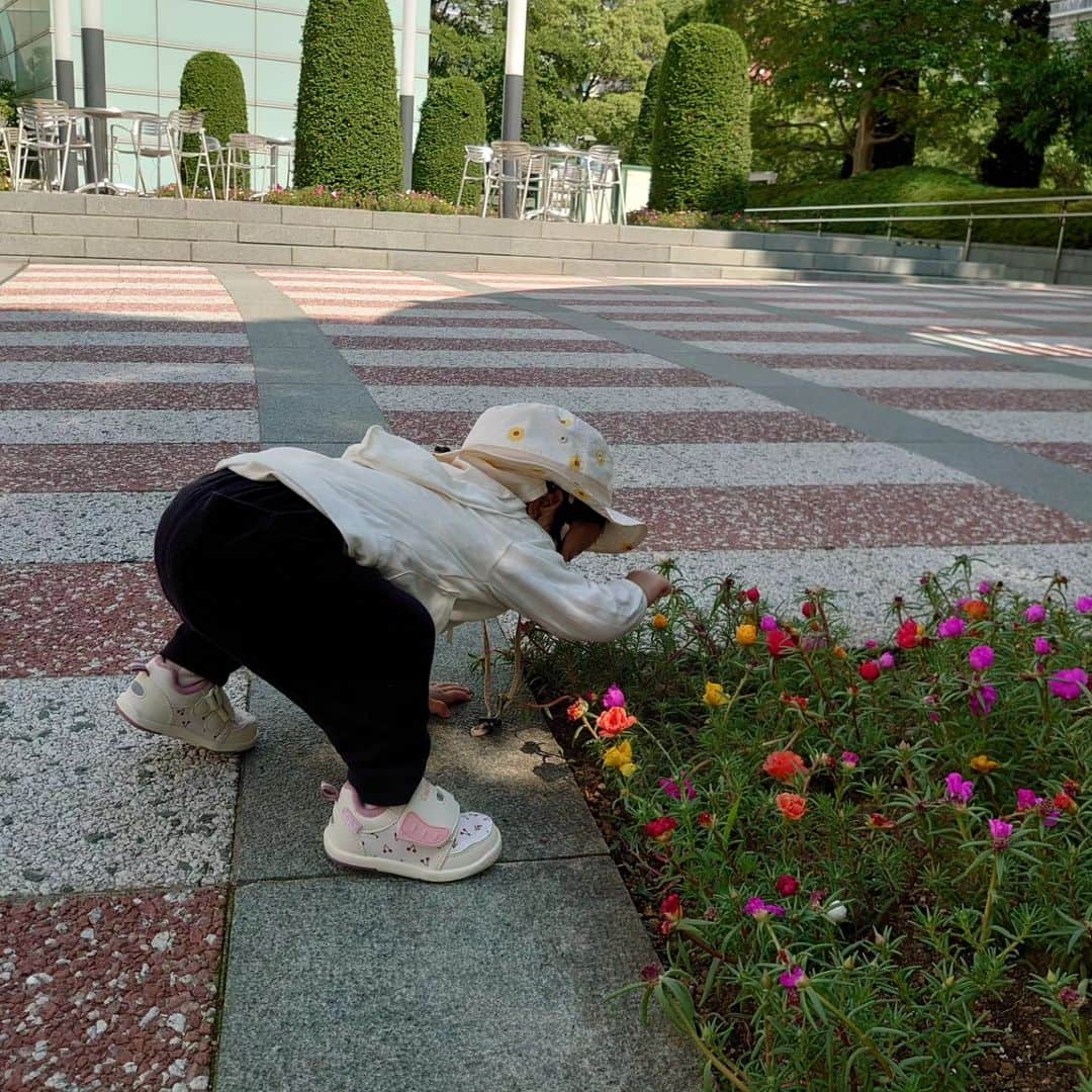 門倉貴史さんのインスタグラム写真 - (門倉貴史Instagram)「オッハー😀  これから講演会で広島に行ってまいりますぅ❗（中国野原装栄会主催）  イエーイ🤓😘イエーイ🤓😘イエーイ🤓😘サラバ👋🍀  娘は植物の観察に夢中。すごい姿勢で観察してます(笑)  #講演会 #広島 #中国野原装栄会 #門倉貴史 #今日のコーデ」6月22日 8時56分 - takashikadokura