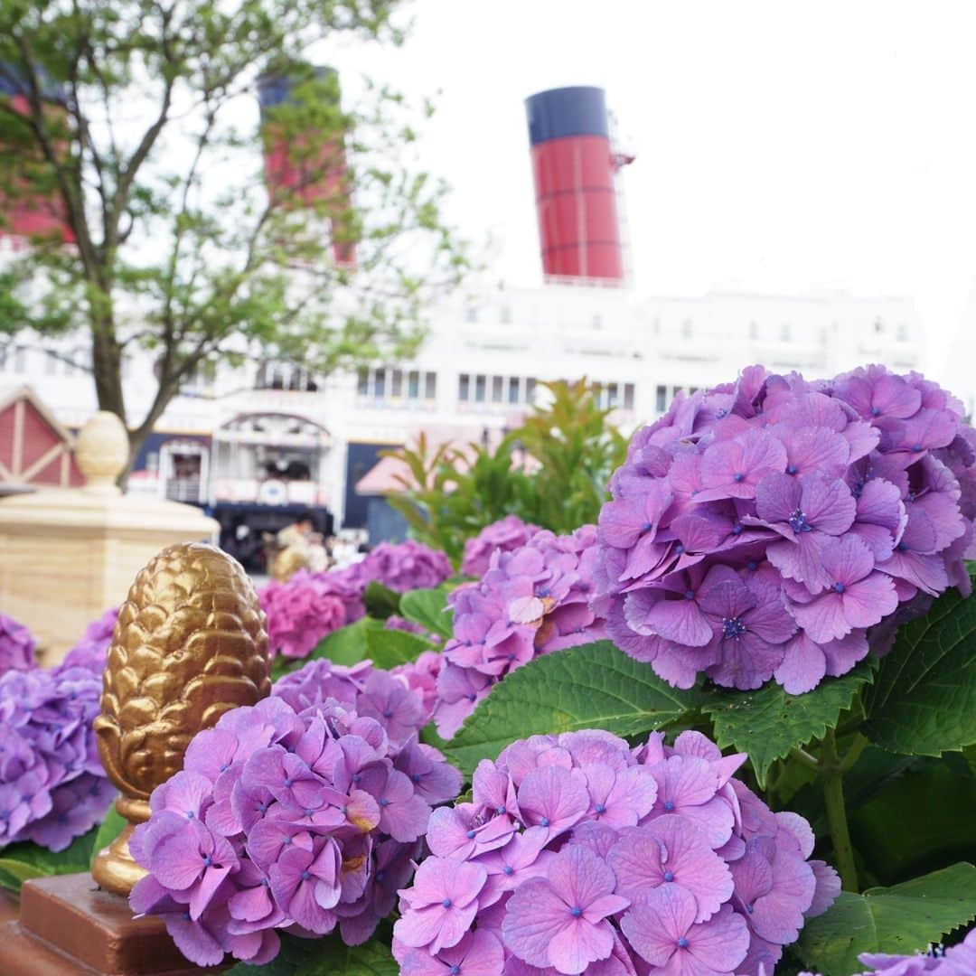 東京ディズニーリゾートのインスタグラム