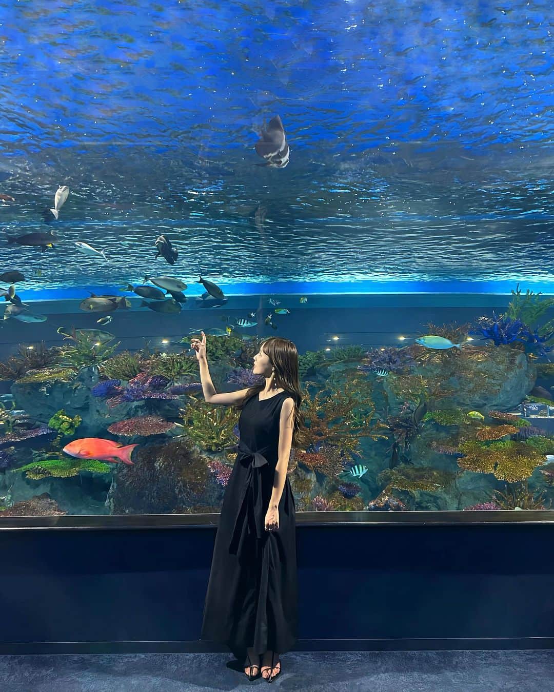 のインスタグラム：「ずっと気になってたDMMかりゆし水族館に やっと行けた〜🐠🐡🌴 ⁡ 最新の映像表現と空間演出を使った エンタメ水族館でとにかく凄かったの😳✨！！ ⁡ お魚を鑑賞するだけじゃなく至近距離で 動物がいたり、実際に触れ合えるエリアが あったりと子供から大人まで楽しめちゃう🤭♬ ⁡ 那覇空港から車で15分とアクセスしやすくて雨の日もオススメ！ ⁡ この夏にみんなにもぜひ訪れてほしい🙈💕 ⁡ @dmm_aquarium  #DMMかりゆし水族館#沖縄#水族館#旅行#沖縄旅行」