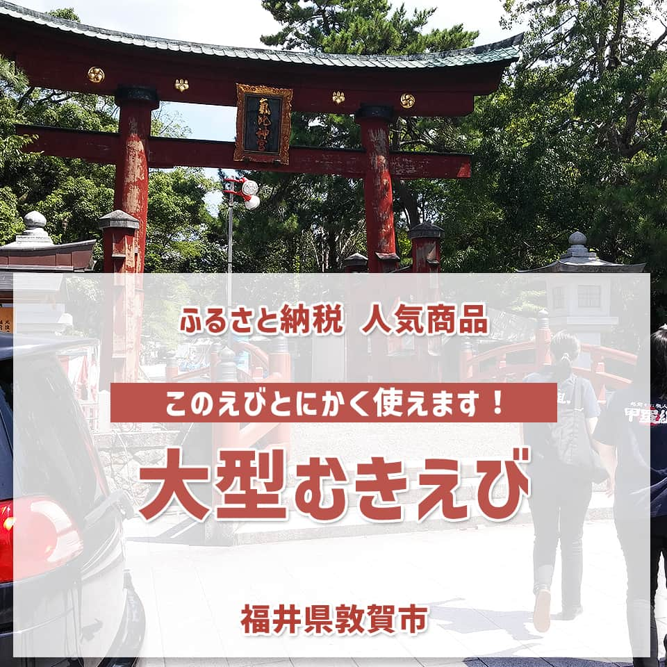 越前かに職人　甲羅組のインスタグラム：「ふるさと納税はされていますか⁉  ふるさと納税ランキングで見かける「むきえび」🦐 福井県敦賀市の返礼品❗❗  実は、甲羅組でご用意させて頂いております✨ InstagramやTwitterなどで「返礼品オススメ！」「今回で◯度目です！」って見るたびにドヤァってなっている中の人です🤣  もちろん、私自身もお気に入りのえび🦐✨ 冷凍庫にストックして、アヒージョやパスタ、キャンプに大活躍でございます🙆←キャンプに連れて行った話は過去の投稿で🎵  🦐大型むきえび🦐 ブラックタイガーの特徴は、身質がしっかりしていて歯ごたえ、食感が良く、加熱した時の鮮やかな赤色の発色が食欲をそそります。 類似品の安価なバナメイエビと食べ比べてみると、その違いは一目瞭然です❗ 素材にこだわった一級品ブラックタイガーの中から、食べ応え抜群のサイズを厳選し、頭と尾を取って1尾ずつ丁寧に殻をむき、背中に切れ目を入れて背ワタを取る「バタフライカット」と呼ばれる特殊加工をしてありますので、面倒な背ワタもありません✨  さらに、レモン風味を加えて、よりおいしく召し上がっていただける工夫をしています👍 また、1尾ずつバラ凍結されており、使いたい分だけ解凍できますので、下処理なしですぐに調理できる優れものです✨ エビマヨ、エビチリ、エビフライ、野菜炒め…ボリューム満点たっぷり1キロのお得なパックでお届けしますので、ご家庭でいろんなエビ料理を存分にお楽しみください🦐  ▶楽天ふるさと納税「福井県敦賀市」で検索  #甲羅組 #福井県敦賀市 #ふるさと納税 #福井県 #敦賀市 #返礼品 #楽天ふるさと納税 #ふるさと納税返礼品 #返礼品おすすめ #ふるさと納税制度 #楽天お買い物マラソン #むきえび #えび好きさんと繋がりたい #アヒージョ #パスタ #キャンプ飯」