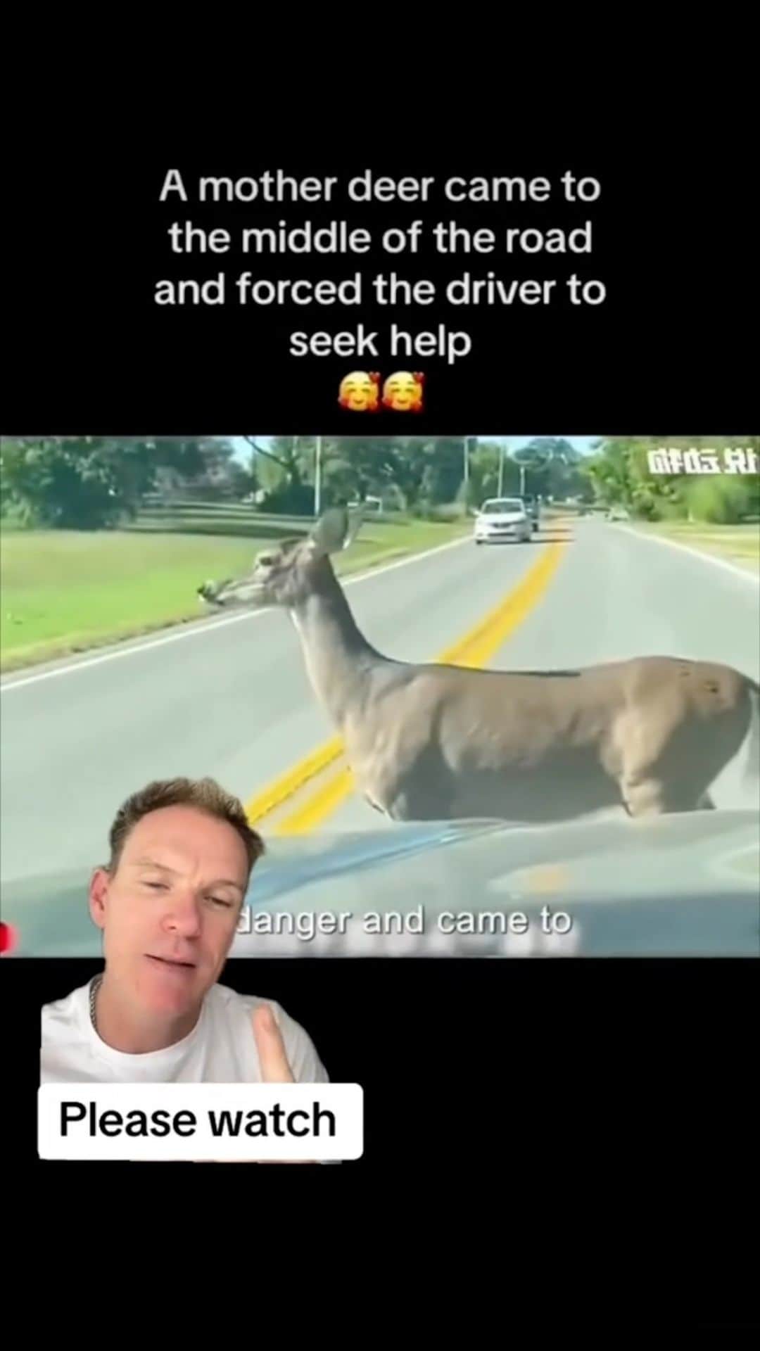 StreetArtGlobeのインスタグラム：「We’re bringing some love to your feed today ❤️🦌 Watch until the end and share it with your friends 👇  Via @beachingcharliet  Follow 👉@STREETARTGLOBE👈 for more!」