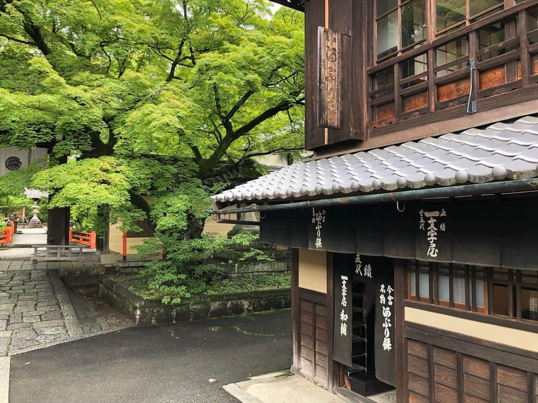 石井脩平さんのインスタグラム写真 - (石井脩平Instagram)「🍵 【一文字屋 和輔】 「あぶり餅」一人前600円 　 　 昨年末にちょっと帰った時に寄ってみたら もう年末のお休みに入ってはって 結局食べれず仕舞いで あぶり餅に思いを馳せながら東京に戻りまして。 　 ほな春頃にテレビで我らが里帆さんが 食べてはるん見て いやぁ、久しぶりに食べたなるなぁ思てて。 　 　 ほんで今回こそ行って食べよと思てたら 水曜日が定休日で今回も諦めてたんやけど なんやかんや色々あって念願の一和さん。 　 お昼に朝からの雨が上がって、家から裏の船岡山を原点回帰の散歩してて、頂上まで登って、懐かしいなぁ…ええなぁ…たまらんなぁ…言うてて、気付いたら山の反対側の今宮神社まで歩いてた。 まぁ、距離だけで言うと渋谷から原宿まで歩くよりも近いんやろけども。 　 　 ⛩️ 子供の頃、おばあちゃんが昔よう詩吟の帰りにお土産で買って帰ってきてくれて、みんなで喜んで食べてた。 僕ら紫野の人間は、あぶり餅に育てられたと言っても過言では無いです。 コレは、ほんまです。はい。 いつもどんな時でも、あぶり餅とやすらいさんが側で見守ってくれてました。 何と言うかもう、心で味わうというか、ほっこり温かい気持ちになれます。  　 いつも観光客の方々で超満席なんですが、雨上がりやからか奇跡的にちょっと空いてて、お隣の縁側席で食べたはった近所のおばちゃん3人組も「バッチシやなぁ」「グッドタイミングやったなぁ」言うてはりました。 　 　 🍡 創業 長保2年(西暦1000年) 現存する日本最古の飲食店 京都市の景観重要建造物第1号 千利休がお茶菓子に好んで食べたとか… 応仁の乱の時に飢餓で苦しむ町の人々に振る舞われたとか… エピソードの歴史が深すぎて 面白いと言うか、もう笑てまいますよね。 とんでもなくスゴい事ですよね。 　 　 長年この味が 守られ、引き継がれ、そして愛されている。 ほんまとんでもなく凄いことです。 おおきに。 ほんまおおきに。 　 　 　 #あぶり餅 #一文字屋和輔 #一和 　 #今宮神社 #やすらいさん #阿呆賢さん #今宮の奇石 #夏越しの祓い #茅の輪くぐり 　 #グレーテルのかまど #吉岡里帆 #原点回帰できるお菓子 #地元に帰ってきたなぁと思わせる懐かしさ 　 #京都 #KYOTO #そうだ京都行こう 　 #ボクらの町京都 #京都で原点回帰」6月22日 22時39分 - presidentchan141