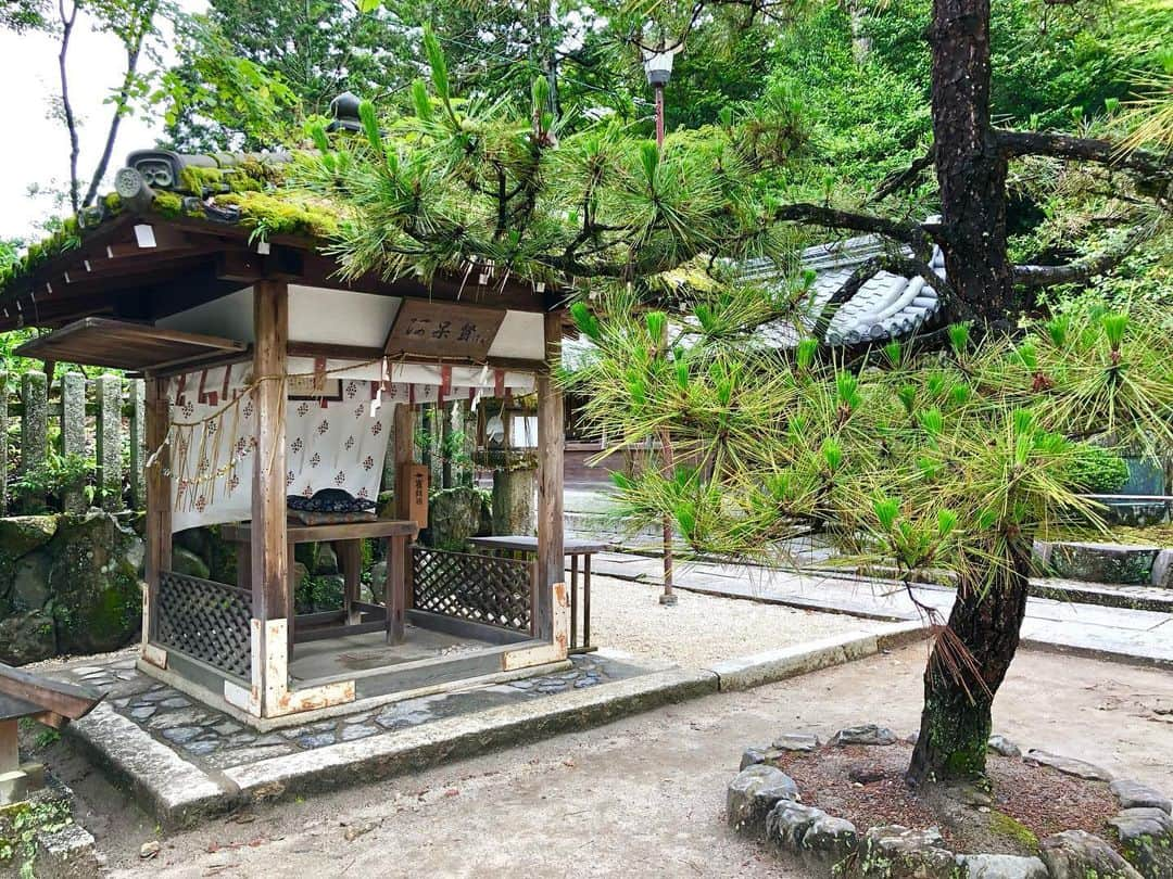 石井脩平さんのインスタグラム写真 - (石井脩平Instagram)「🍵 【一文字屋 和輔】 「あぶり餅」一人前600円 　 　 昨年末にちょっと帰った時に寄ってみたら もう年末のお休みに入ってはって 結局食べれず仕舞いで あぶり餅に思いを馳せながら東京に戻りまして。 　 ほな春頃にテレビで我らが里帆さんが 食べてはるん見て いやぁ、久しぶりに食べたなるなぁ思てて。 　 　 ほんで今回こそ行って食べよと思てたら 水曜日が定休日で今回も諦めてたんやけど なんやかんや色々あって念願の一和さん。 　 お昼に朝からの雨が上がって、家から裏の船岡山を原点回帰の散歩してて、頂上まで登って、懐かしいなぁ…ええなぁ…たまらんなぁ…言うてて、気付いたら山の反対側の今宮神社まで歩いてた。 まぁ、距離だけで言うと渋谷から原宿まで歩くよりも近いんやろけども。 　 　 ⛩️ 子供の頃、おばあちゃんが昔よう詩吟の帰りにお土産で買って帰ってきてくれて、みんなで喜んで食べてた。 僕ら紫野の人間は、あぶり餅に育てられたと言っても過言では無いです。 コレは、ほんまです。はい。 いつもどんな時でも、あぶり餅とやすらいさんが側で見守ってくれてました。 何と言うかもう、心で味わうというか、ほっこり温かい気持ちになれます。  　 いつも観光客の方々で超満席なんですが、雨上がりやからか奇跡的にちょっと空いてて、お隣の縁側席で食べたはった近所のおばちゃん3人組も「バッチシやなぁ」「グッドタイミングやったなぁ」言うてはりました。 　 　 🍡 創業 長保2年(西暦1000年) 現存する日本最古の飲食店 京都市の景観重要建造物第1号 千利休がお茶菓子に好んで食べたとか… 応仁の乱の時に飢餓で苦しむ町の人々に振る舞われたとか… エピソードの歴史が深すぎて 面白いと言うか、もう笑てまいますよね。 とんでもなくスゴい事ですよね。 　 　 長年この味が 守られ、引き継がれ、そして愛されている。 ほんまとんでもなく凄いことです。 おおきに。 ほんまおおきに。 　 　 　 #あぶり餅 #一文字屋和輔 #一和 　 #今宮神社 #やすらいさん #阿呆賢さん #今宮の奇石 #夏越しの祓い #茅の輪くぐり 　 #グレーテルのかまど #吉岡里帆 #原点回帰できるお菓子 #地元に帰ってきたなぁと思わせる懐かしさ 　 #京都 #KYOTO #そうだ京都行こう 　 #ボクらの町京都 #京都で原点回帰」6月22日 22時39分 - presidentchan141