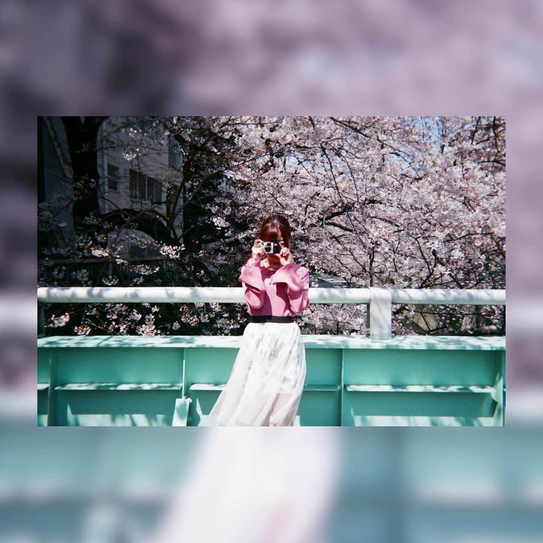 桜野羽咲のインスタグラム：「🌸 ⁡ ⁡ ⁡ 10年前の今日6/22 妄想キャリブレーションになった日 ⁡ つまり、アイドルになった日 ⁡ ⁡ 全てが今に繋がっていて、 あの妄想もリアルになって、 今日も歌を歌えています。 ⁡ ⁡ いつもありがとう！！ ⁡ ⁡ ⁡ 桜色ダイアリーのお写真 たくさん見つけたのでみんなにシェアします 当時も載せてないやつがあるかも！笑 ⁡ ⁡羽咲の青春。 ⁡ ⁡ ⁡ ⁡ ⁡ ⁡ #桜色ダイアリー #妄想キャリブレーション #アイドル #アイドル衣装 #10周年 #冴えカノ #冴えない彼女の育てかた #アニメ #ノイタミナ #アニソン #桜 #オフショット #フィルムカメラ #写ルンです #聖地巡礼 #聖地巡り #のぞき坂 #目黒川 #japanculture #popculture #anime #idol #musicvideo #cherryblossom  ⁡」