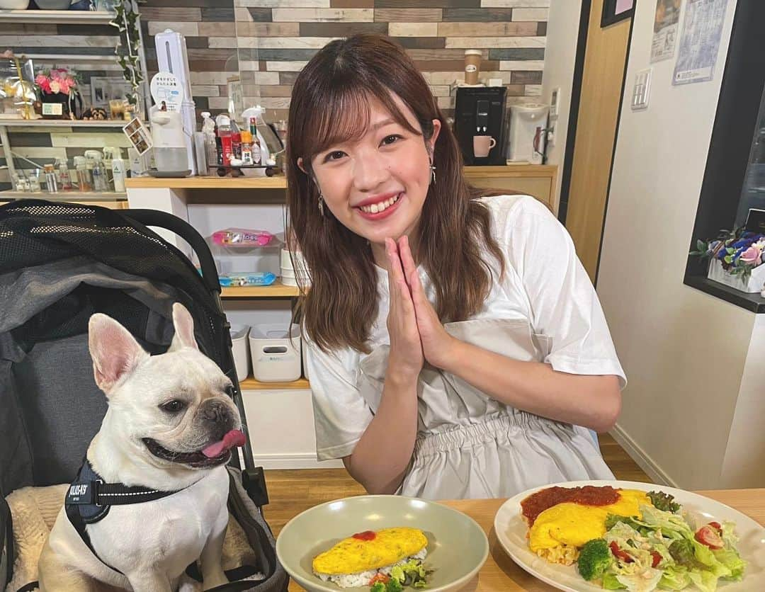 大森万梨乃のインスタグラム：「ㅤㅤㅤ ㅤㅤㅤ 今日の旅乃音は特別編！ 愛犬と #静岡わんこ旅 に行ってきました🐶☀️ ㅤㅤㅤ 写真は清水区草薙の #しっぽーむ 🐾 ㅤㅤㅤ 人間と同じ見た目のものが食べられるお店！ オムライスもスイーツも見た目はソックリ👏 ㅤㅤㅤ 犬連れじゃない方も入れるお店なので、 看板犬に癒されたい方も是非！ ㅤㅤㅤ その他紹介したお店はまた後日アップします〜！ ㅤㅤㅤ #静岡カフェ #静岡犬連れ #静岡犬カフェ  #フレンチブルドッグ #フレブル」