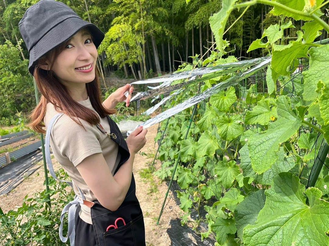 速水里彩のインスタグラム