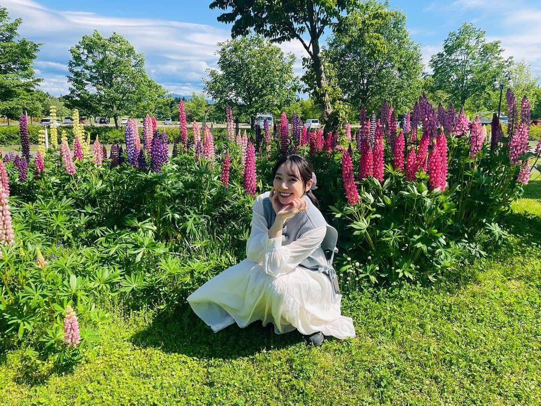 松井咲子さんのインスタグラム写真 - (松井咲子Instagram)「秋田にロケで行ったときの写真がどれも良すぎるからちょっと全員見てください！  意外と秋田に行くのは初めてだったのですが計６日間も行っていたもんで大大大満喫でした！とにかくご飯が美味しすぎる、景色が良すぎる、人が優しすぎるという幸せ三拍子でもう一瞬で秋田のことだいすきになっちゃいました  そんなただただ幸せすぎる模様がこのあと16:30からの「マチコミ」で流れます。テレ玉、チバテレ、tvkで観られますしYouTubeにもアップされますので是非！  写真まだまだまだまだあるのと、更に増える予定なのでちょくちょく載せていきますね〜！  #秋田 #テレ玉 #マチコミ」6月22日 14時48分 - sakiko___official