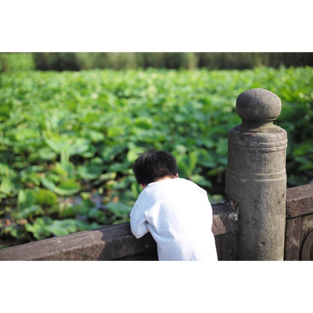 野々すみ花のインスタグラム：「せっかく上野に訪れたので、 不忍池(しのばずのいけ)まで足をのばし、スワンボートに乗りました。 なんだこの充実感は！  還暦を迎えた母は、最近の趣味である山登りの効果があってか30分間笑顔で漕ぎ続けるまさかの体力。 そんな一面も知れて良い機会でした。  話しが変わりますが、 少し前に投稿した「朝から子どもに激怒して撃沈」のお話に、沢山のコメントをありがとうございました！ その投稿にお礼の文章をひっそり書いていますので、よろしければご覧ください。  表現する場で、あぁ嬉しいな、幸せだなと思う瞬間を切り取っていると、なんだかずっとそうでなきゃいけないような気がして来たり、周りの人がキラキラして見えると、なぜ私は…..と落ち込んだりしてしまいがちだけど、どんな人だって、色んな背景のなか、色んな感情のなかで生活している。だからこそ、幸せを感じるととっても嬉しく思える。それが生きるということなのだと。日々無事に過ごせることに感謝を忘れないでいたいなと、スワンボートのなか足をぴくぴくさせながら心に誓ったのでした。」