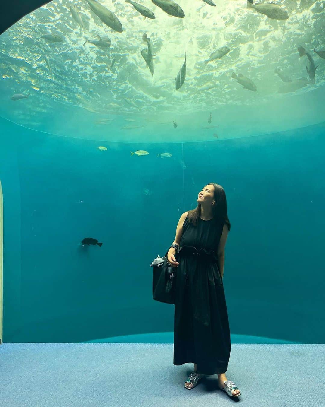 田中幸恵のインスタグラム：「___ . 思い立って 四国水族館へ🐬  イルカが間近でビックリした😳 （あと、イルカの名前がJとかIとかアルファベットだったのにも驚いた🫨）  ワンピは周りも2色買いしてる cen.のドッキングワンピ🖤  one-piece→ @cen.___jp  bag→ @hermes  sandals→ @sergiorossi  #四国水族館  #cen_jp  #hermes  #sergiorossi」