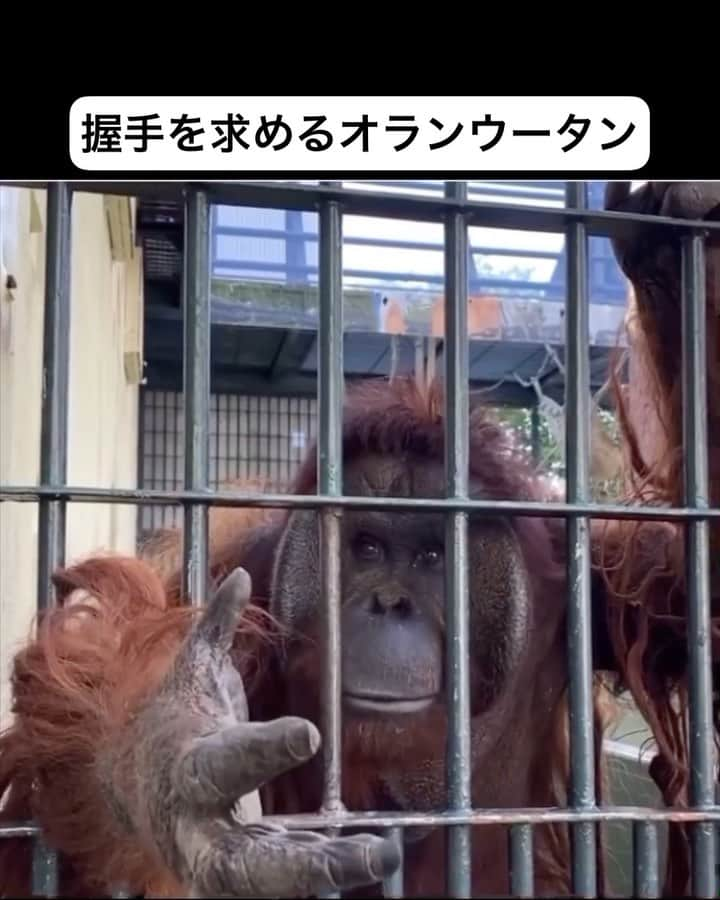 銘苅のインスタグラム