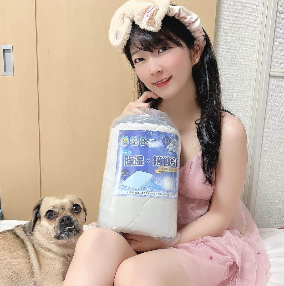 服部彩香のインスタグラム：「これからの暑い季節も快適な睡眠の為に 冷感敷パットを🫡 そしてこの敷パットは除湿シートと敷パットが一体になっていて 睡眠中の湿度も調整⭐️ ひんやりサラッとな素材は材は冷感値(Q-max値約0.4) 中身の中空繊維に冷感コットンを加えて冷感効果がUP✌️ 愛犬も気持ちよさそうに眠っていました🐶 . PR #冷感敷きパッド #除湿シート #接触冷感 #クールパッド #吸水速乾 #抗菌 #meillyhoomi」