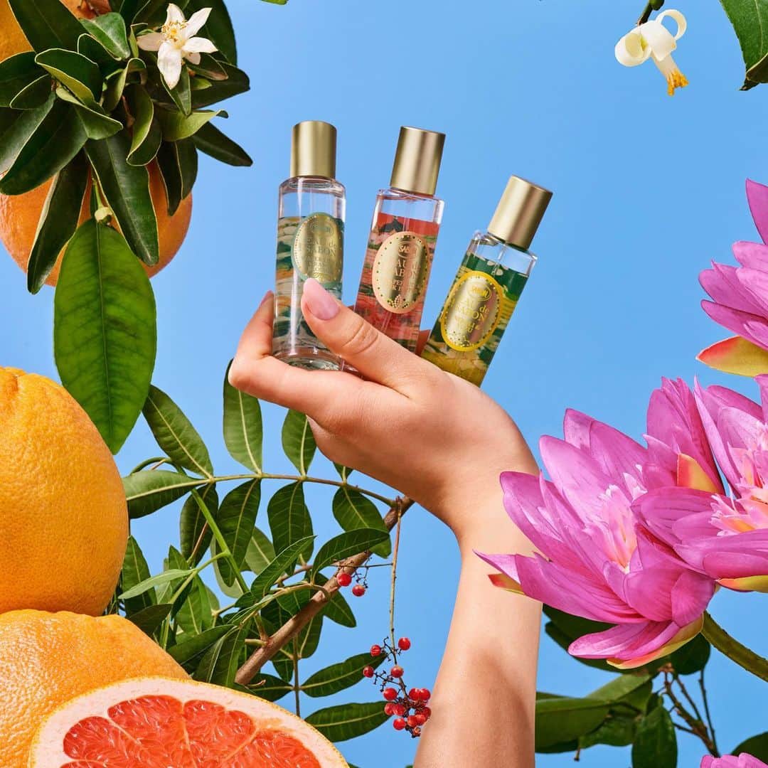 SABON Japanさんのインスタグラム写真 - (SABON JapanInstagram)「【新登場✨オードゥサボン カプセルコレクション】  繊細に変化する気持ちに寄り添うオードゥサボンから、 夏季限定のコレクションが登場。  世界中の上質な花々や果物を集め、 意外性にあふれる絶妙なコントラストで 美しいボトルに詰め込んだ特別な３種の香り🍊 香りの詳細は次の投稿をチェック👀  ■オードゥサボン ウォーターリリー＆オレンジブロッサム グレープフルーツ＆ピンクペッパー ネロリ＆ユズ （全3種） 各30mL 各¥4,180（税込）  この夏にしか出合えない特別な香りが誘う 自分を見つめなおす旅、刺激的な体験、心安らぐ休息 SABONのサマーフレグランスで自然の美しさに身を委ね、 なりたい気分へと導く理想のバカンスへ。  どの香りが気になるかコメントで教えてください✨  #sabon#EAUdeSABON#fragrance#サボン#MySABONフレグランス#オードゥサボン#フレグランス#オードトワレ#香り#ペアリング#SABONの香り#サボンの香り#ウォーターリリーオレンジブロッサム#グレープフルーツピンクペッパー#ネロリユズ#バカンス#旅行#旅#フルーツ#コスメ#香りのある暮らし#お気に入りの香り」6月22日 17時47分 - sabon_japan