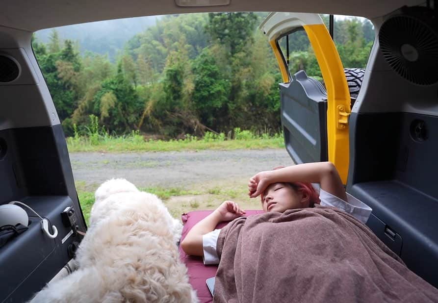 マルコスさんのインスタグラム写真 - (マルコスInstagram)「先日の @venti_marucos との車中泊キャンプ🏕️ 和歌山で一緒にホタル見た🫣  動画もあげてるからYouTubeみてね✌🏻  #camping #キャンプ　#車中泊　#goldendoodle」6月22日 18時05分 - marucos91