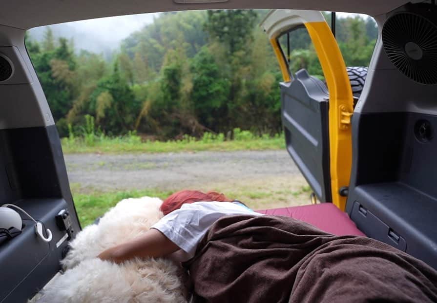 マルコスさんのインスタグラム写真 - (マルコスInstagram)「先日の @venti_marucos との車中泊キャンプ🏕️ 和歌山で一緒にホタル見た🫣  動画もあげてるからYouTubeみてね✌🏻  #camping #キャンプ　#車中泊　#goldendoodle」6月22日 18時05分 - marucos91