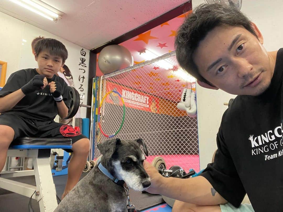 のインスタグラム：「2匹ともカットしました😜」
