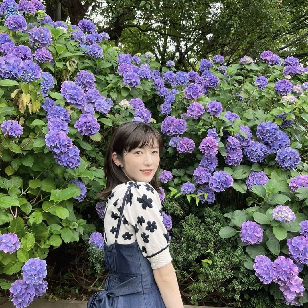 樋口柚子さんのインスタグラム写真 - (樋口柚子Instagram)「東京の紫陽花も綺麗だ〜☔️ 紫陽花3連投稿🤗  トップス…@31sonsdemode ワンピース…@noela_official」6月22日 23時56分 - higuchi_yuzu_official