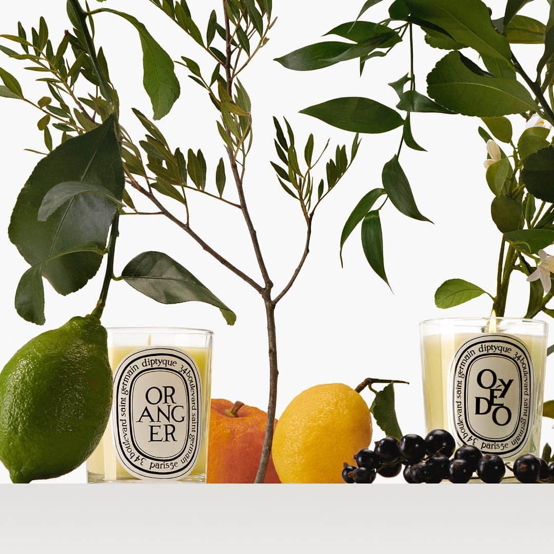 ディプティックのインスタグラム：「A gathering… …of nature and all its sensations. Since 1963, Diptyque's scented candles have faithfully recreated nature's fragrances. Candle after candle, over the decades, the Maison has created a unique herbarium of over 50 candles. A universal repertoire of nature's scents.  #diptyque #classiccandle #candles #scentedcandles」