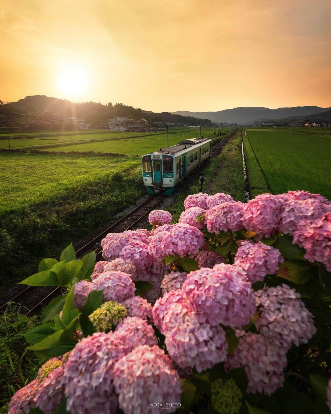 コサさんのインスタグラム写真 - (コサInstagram)「夕暮れと紫陽花と電車  爆焼けが期待出来そうな空でしたが… 時間がなくて次の場所へ👍 . Location:徳島 Tokushima / Japan🇯🇵 Date:2023年6月 Camera:Z9/Z 14-24mm f2.8 in frame: @chami_2nd . #紫陽花 #shikokucameraclub #牟岐線 #sunrise_sunset_photogroup #iconic_sunset_ #japan_bestsunset #traingallery_ig #train_vision #Japan_Daytime_View #nikoncreators #tokyocameraclub #art_of_japan_ #jgrv_member #team_jp_ #photo_jpn #sorakataphoto #LBJ_KING #m_v_shotz #広がり同盟メンバー #special_spot_legend #nikoncreators_2023joy #未来をえがくキャラis #japancityblues #mf_landscape #Rox_Captures #colore_de_saison #deaf_b_j_ #pixlib_jp #じゃびふる #NSG_IG」6月22日 19時32分 - kosa_photo