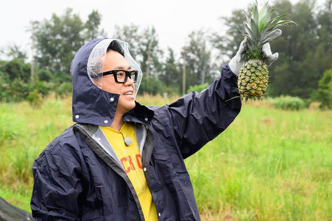 日本テレビ「満天☆青空レストラン」さんのインスタグラム写真 - (日本テレビ「満天☆青空レストラン」Instagram)「⁡ 今週の青空レストランは、 沖縄県の「海ぶどう&スナックパイン」をご紹介！ ⁡ ⁡ ⁡ ゲストの中島裕翔さんと恩納村で海ぶどうの養殖場を見学し、宜野座村ではスナックパインの収穫をしました！！ ⁡ ⁡ 初めての海ぶどう養殖の見学に2人ともびっくりしていました😊 ⁡ ⁡ ⁡ また、とれたてのスナックパインもとっても甘かったそうです🍍 ⁡ ⁡ ⁡ ぜひご覧ください！！ ⁡ ⁡ ⁡ ⁡ #満天青空レストラン #青空レストラン #青空 #青レス #満天 #宮川大輔 #大ちゃん #うまい　#レシピ #日テレ #日本テレビ #沖縄県 #恩納村 #宜野座村 #ロケ #海ぶどう #スナックパイン #中島裕翔 #HeySayJUMP #サッポロ #サッポロで乾杯」6月22日 19時40分 - aozora_official