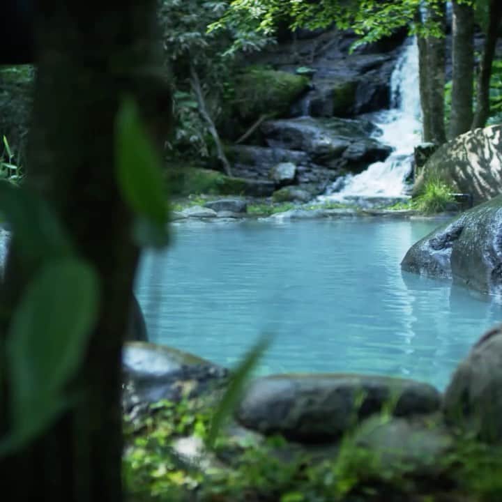 星野リゾートのインスタグラム：「【今日は「World Bathing Day」♨】  6月22日は「World Bathing Day（世界お風呂の日）」🛁  星野リゾートで楽しめるお風呂を集めました！  June 22nd marks "World Bathing Day". How about staying at one of our resorts and refreshing your senses this year?   ➀奥入瀬渓流ホテル - Oirase Keiryu Hotel  ➁界 出雲 - KAI Izumo  ➂星のやグーグァン - HOSHINOYA Guguan  ➃界 霧島 - KAI Kirishima  ➄リゾナーレ小浜島 - RISONARE Kohamajima   各ブランドや施設のアカウントでも、お風呂をご紹介していますので是非ご覧ください！   @hoshinoresorts_aomoriya  @hoshinoresorts.kai  @hoshinoya.official  @omo_hotels @hoshinoresorts.tomamu  @rnratami   #worldbathingday #reawaken #onsen #Hotspring #HoshinoResorts #星野リゾート」