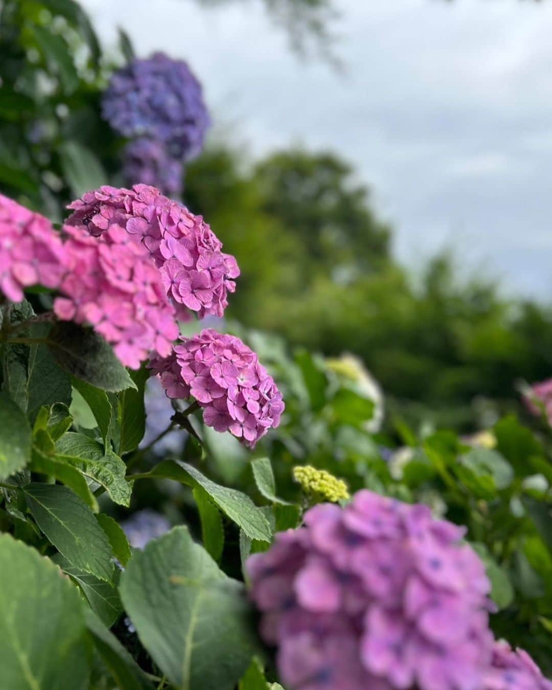 のインスタグラム：「大仏めっちゃでかかった🤩✋👌」
